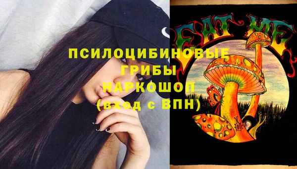 марки lsd Медногорск